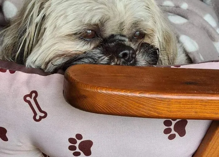 Tisza-tavi Menedek *